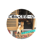 ララちゃん スタンプ（個別スタンプ：11）