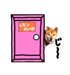 わんちゃんズ！！（個別スタンプ：6）