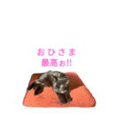 黒猫はる（個別スタンプ：4）