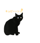 黒猫はる（個別スタンプ：9）