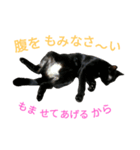 黒猫はる（個別スタンプ：11）