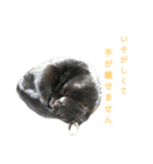 黒猫はる（個別スタンプ：25）