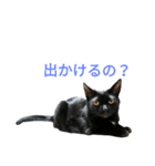 黒猫はる（個別スタンプ：28）