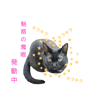 黒猫はる（個別スタンプ：34）