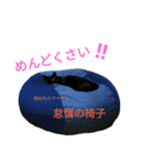 黒猫はる（個別スタンプ：39）