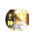 ろいく（個別スタンプ：4）