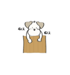 犬のれちまる1（個別スタンプ：33）