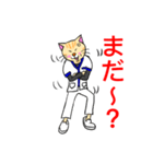 白衣を着たネコvol.2（個別スタンプ：12）