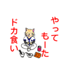 白衣を着たネコvol.2（個別スタンプ：19）