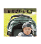 haruki baby（個別スタンプ：7）