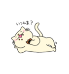 猫のなんたろ。（個別スタンプ：26）