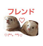 可愛いフェレNO2（個別スタンプ：4）