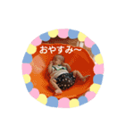nanaco's smile（個別スタンプ：4）