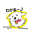 ピレニーズのきもち（個別スタンプ：7）