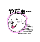 ピレニーズのきもち（個別スタンプ：10）