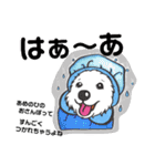 ピレニーズのきもち（個別スタンプ：14）