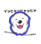 ピレニーズのきもち（個別スタンプ：16）