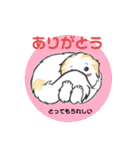 ピレニーズのきもち（個別スタンプ：17）