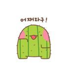 サボテン チャンイン（個別スタンプ：24）
