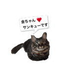金ちゃん✨2（個別スタンプ：2）