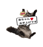 金ちゃん✨2（個別スタンプ：4）