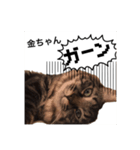 金ちゃん✨2（個別スタンプ：8）