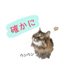 ねこねこボーイズ（個別スタンプ：7）