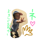 すなひら2（個別スタンプ：2）