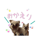 バニラとジュリエット2（個別スタンプ：8）