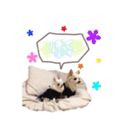 バニラとジュリエット2（個別スタンプ：15）