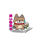 柴犬ガウガウちゃんねる1（個別スタンプ：4）
