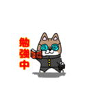 柴犬ガウガウちゃんねる1（個別スタンプ：7）