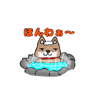 柴犬ガウガウちゃんねる1（個別スタンプ：10）