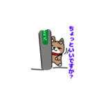 柴犬ガウガウちゃんねる1（個別スタンプ：24）