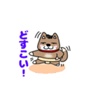 柴犬ガウガウちゃんねる1（個別スタンプ：27）