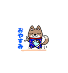 柴犬ガウガウちゃんねる1（個別スタンプ：30）