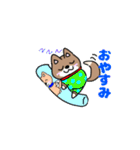 柴犬ガウガウちゃんねる1（個別スタンプ：31）