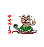 柴犬ガウガウちゃんねる1（個別スタンプ：33）