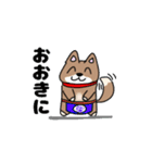 柴犬ガウガウちゃんねる1（個別スタンプ：36）