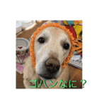 笑顔のすずちゃん（個別スタンプ：30）
