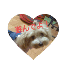 可愛い子犬のスタンプ24（個別スタンプ：2）