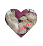 可愛い子犬のスタンプ24（個別スタンプ：3）