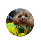 可愛い子犬のスタンプ24（個別スタンプ：14）