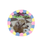可愛い子犬のスタンプ24（個別スタンプ：22）