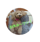 可愛い子犬のスタンプ24（個別スタンプ：24）