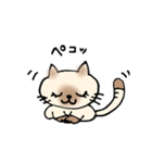 JWシャム猫ちゃん（個別スタンプ：10）