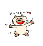 JWシャム猫ちゃん（個別スタンプ：13）