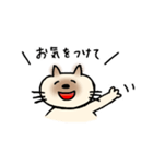JWシャム猫ちゃん（個別スタンプ：19）