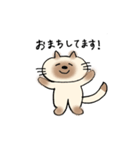 JWシャム猫ちゃん（個別スタンプ：20）