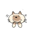 JWシャム猫ちゃん（個別スタンプ：21）